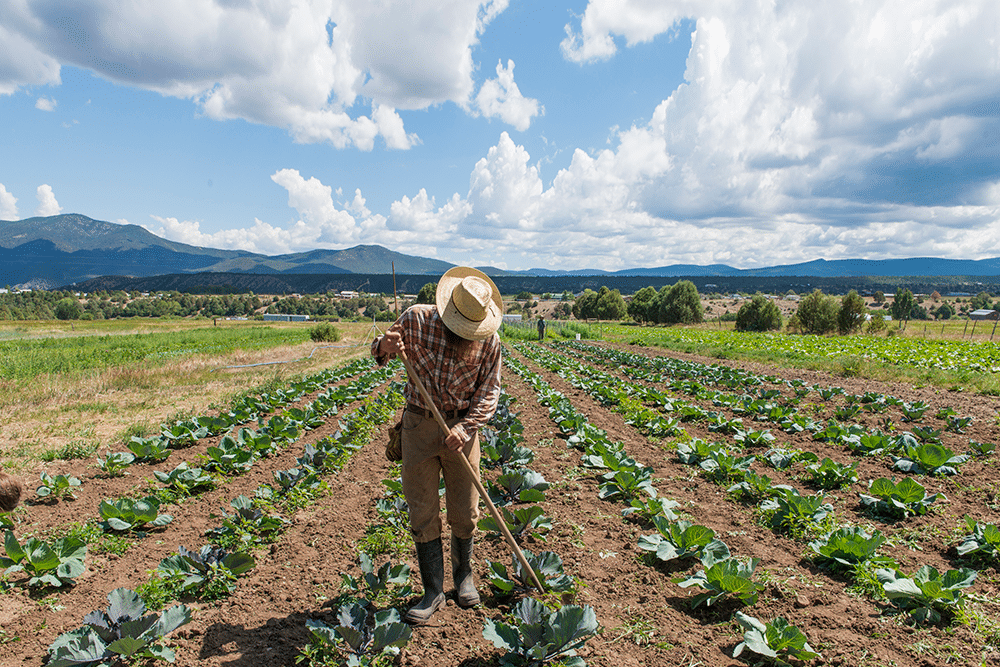 FARMREVIVAL_Truchas_mod